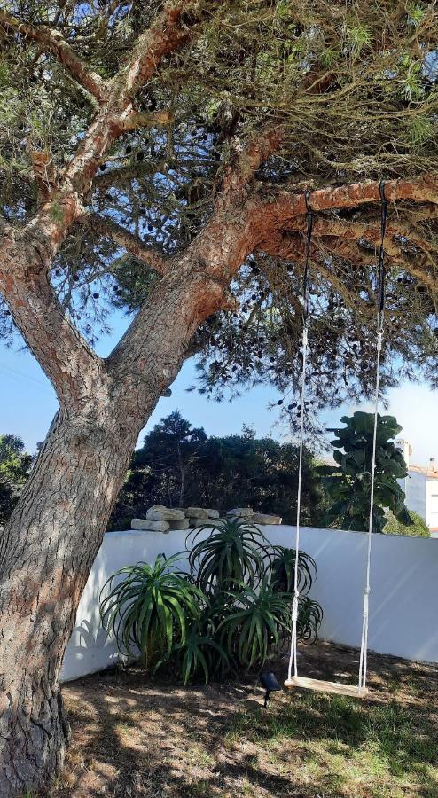 לינה וארוחת בוקר אלג'זור Casa Clerigo Espartal מראה חיצוני תמונה